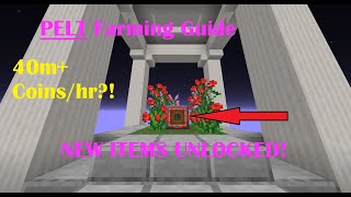 How to grind Pelts PROPERLY  Hypixel Skyblock Guide [upl. by Sudnak]