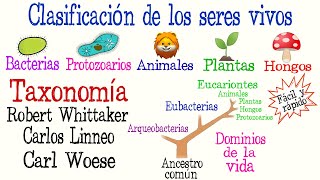 🌿5 Reinos y 3 Dominios de la Vida🐠  Clasificación de los seres vivos Fácil y Rápido  BIOLOGÍA [upl. by Kipton]