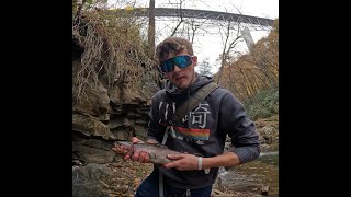 Fall Trout Season Creek Fishing [upl. by Erotavlas]