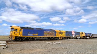 7734V Pacific National Grain Train With G519 BL27 X50 At Gheringhap 7112024  PoathTV Railway [upl. by Ahsym804]