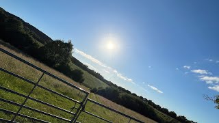 Limekiln Woods Telford UK  travel trending news tourist fyp fypシ゚viral shortsvideo shorts [upl. by Engedi817]