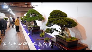 94th Kokufuten Bonsai Exhibition  第94回国風盆栽展 [upl. by Artur]