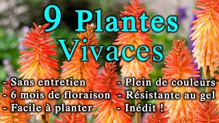 9 Plantes Vivaces Inédites SANS Entretien  de 6 mois de Floraison [upl. by Paik]