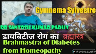 Brahmastra Homeopathic medicine for Diabetes mellitus  Gymnema Sylvestre Q [upl. by Roy]