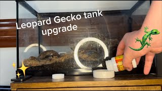 Leopard Gecko tank upgrade [upl. by Strong]