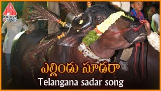 Yellindu Sudara Telangana Song  Sadar Special  Telugu Private Album  Amulya DJ Songs [upl. by Sucramat]