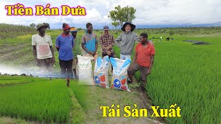 Linh Philip  Số Tiền Bán Dưa Được Sử Dụng Như Thế Nào Trong Trang Trại Việt Phi Farm [upl. by Athalie867]