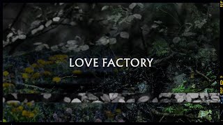 Metronomy  Love Factory Lyric Video [upl. by Damick]