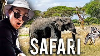 The Ultimate Tarangire National Park Safari in Tanzania 🇹🇿 [upl. by Ranie962]