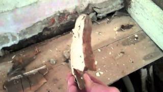 Dry Rot in Leeds A tip on recognising Dry Rot Mycelium [upl. by Sucramd]