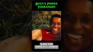 Buaya purba terbangun alurfilm shorts movie [upl. by Dalenna]