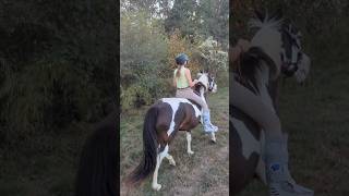 fypシ゚viral horse horsegirl funnyanimal funnyhorse bitlesshorsemanship funnypet cowgirl [upl. by Llebanna906]