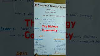 ROLE OF OTHER ORGANS IN EXCRETION PART2Excretoryproductsamptheireliminationclass11neetshortscbse [upl. by Llenad]