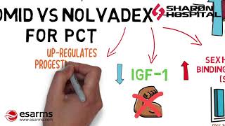 Clomid VS Nolvadex Which one should you use for PCT [upl. by Barcus]