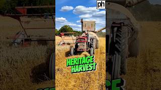 Heritage Harvest Action wheatharvest [upl. by Oriole]