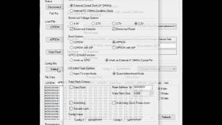 Nuvoton NuMicro ICP Tool [upl. by Syverson]