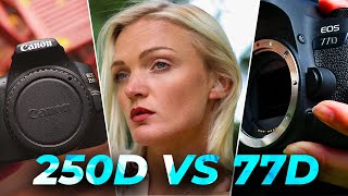 Which Canon 250D SL3 vs Canon 77D  Canon EOS DSLR Comparison and Review [upl. by Siroval]