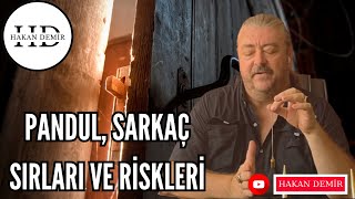 PANDUL  SARKAÇ SIRLARI ve RİSKLERİ [upl. by Assiren903]