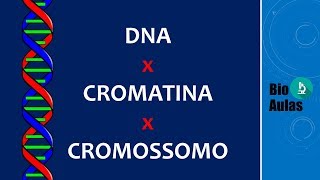 DNA Cromatina e Cromossomo Diferenças Biologia Molecular  Bio Aulas [upl. by Sissel]