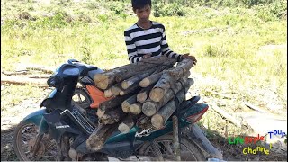 Jungle Life  Man Cutting Wood for Sale  FLV Official [upl. by Mya]