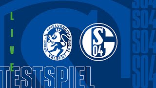 TESTSPIEL RELIVE  SSVg Velbert vs FC Schalke 04 [upl. by Zilla]