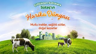 Çiftlikten Sofralara Sütaş’ın Harika Dünyası [upl. by Hansen]