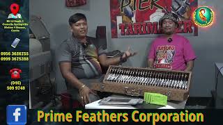 PRIME FEATHERS ENDORSERS CARLO TARI MAKER AND BATANGPIER TARI MAKER [upl. by Butch676]