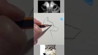 Wolf Zeichnen Lernen shorts wolf drawing zeichnen drawingtutorial [upl. by Teloiv]