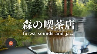 Ambient sounds  JAZZ Forest sounds Relaxing workstudy Healing MUSIC  BGM for work☕ [upl. by Eleinad730]