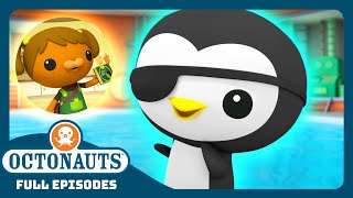 Octonauts  🦦 The Junior Recruits 🦺  Bumper Pack Special  Explore the Ocean [upl. by Anesusa182]