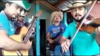 Hermanos Barrera  No Hay Nada Eterno En Vivo [upl. by Philemol]