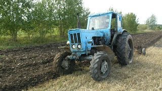 Old reliable tractor Belarus Mtz 52 ploughing [upl. by Meggs363]