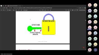 Biochemical basics of enzymes Dr Salah Elsayed [upl. by Rekab859]