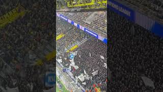 Sturm Graz Fans in Dortmund 05112024 [upl. by Maren]