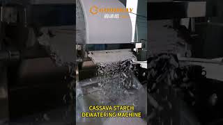 Cassava starch dewatering machine vacuum drum filter machine starch dehydrating machine [upl. by Nedyah]