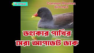 ডুংকোর পাখির ডাক জল মুরগী পাখির ডাক  Common Moorhen Bird call Mp3 sound [upl. by Akirea]