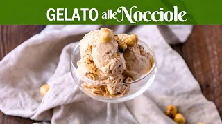 GELATO ALLE NOCCIOLE la Ricetta Facile di BuonIdea [upl. by Alithea]