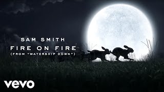 Sam Smith  Fire On Fire From quotWatership Downquot [upl. by Eiramanin]