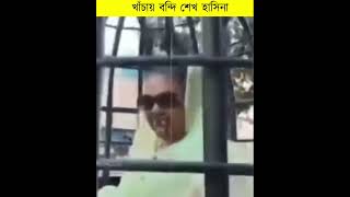 খাঁচায় বন্দি শেখ হাসিনা zoombangla reelsfb reelsfbviral bnb [upl. by Garth77]