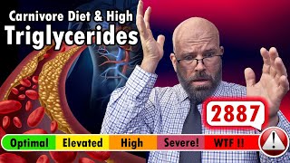 High Triglycerides on a Carnivore or Keto Diet hypertriglyceridemia dislipidemia carnivorediet [upl. by Agee351]