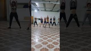 Vermelho  Gloria Groove coreografia [upl. by Asabi]