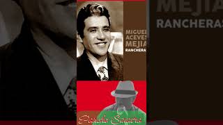 Malagueña Salerosa  Pancho Sinatra Miguel Mejia Cover [upl. by Aneeles]