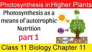 01 Photosynthesis as a means of autotrophic Nutrition in bengali [upl. by Anaitak]