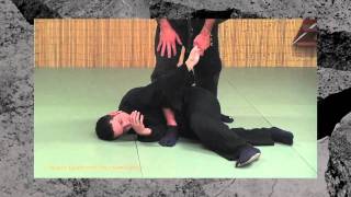 Ninjutsu Submissions  quotFinishing Pinsquot  Ninja Training Techniques [upl. by Engdahl213]