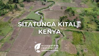 Sitatunga Kitale  Kenya [upl. by Branham]