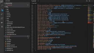 Free Go Module Vulnerability Scanning in Visual Studio Code [upl. by Rutherfurd178]