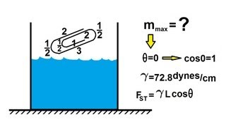 Physics 331 Surface Tension 4 of 12 The quotFloatingquot PaperClip [upl. by Labina]