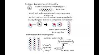 Lipid and membrane biochemistry [upl. by Pump]