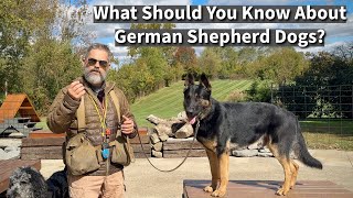 What Should People Know About German Shepherd Dogs [upl. by Uyerta970]