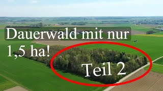 Lohnt sich der Dauerwald für Kleinwaldbesitzer [upl. by Alver]